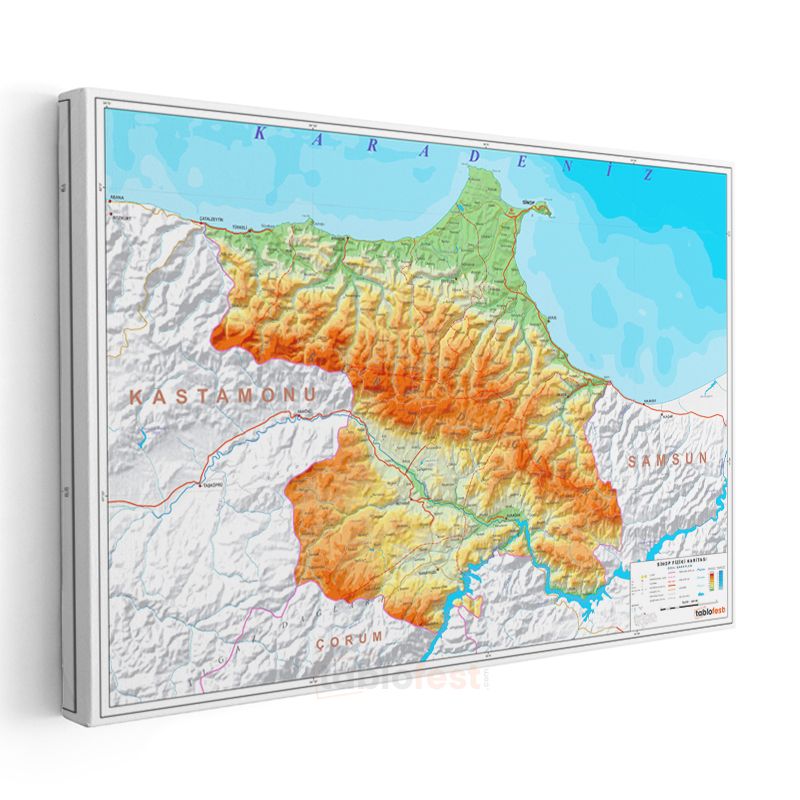 Sinop - Fiziki Haritası Kanvas Tablo