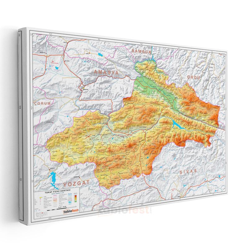 Tokat - Fiziki Haritası Kanvas Tablo