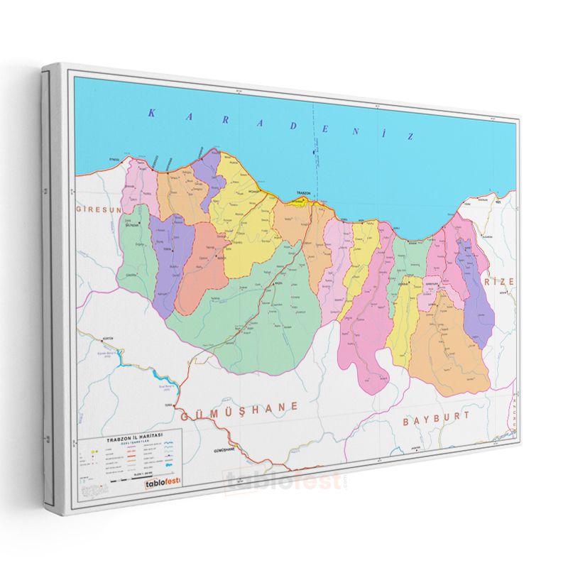 Trabzon - İl Haritası Kanvas Tablo