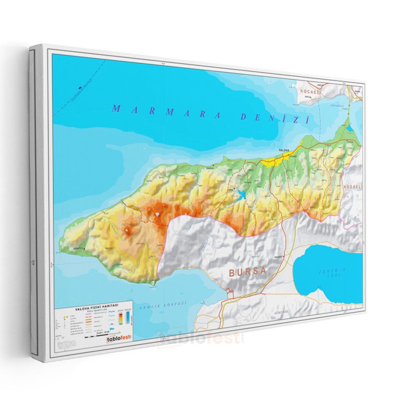 Yalova - Fiziki Haritası Kanvas Tablo