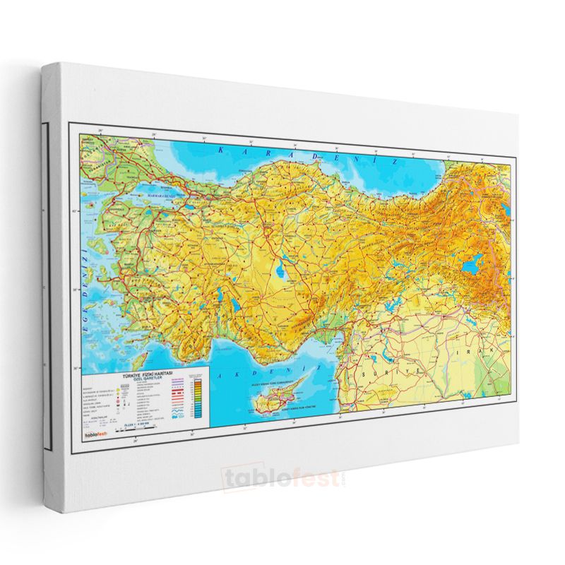 Türkiye - Fiziki Haritası Kanvas Tablo