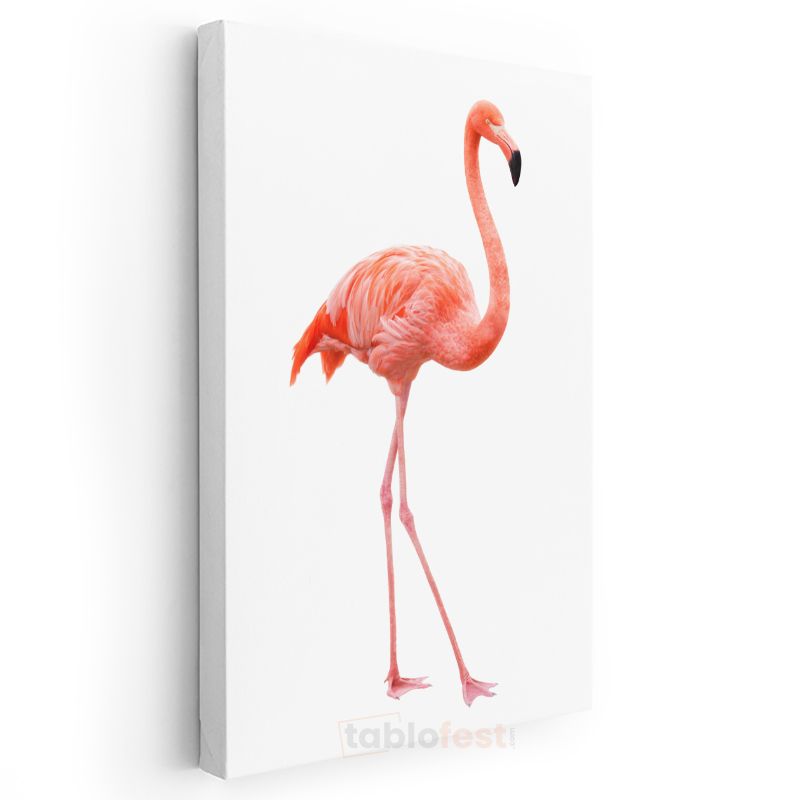 Flamingo - Zarif Duruşlu Pembe Güzellik Kanvas Tablo