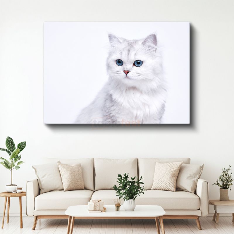 Beyaz Kedi - Mavi Gözlerin Saf Güzelliği Kanvas Tablo