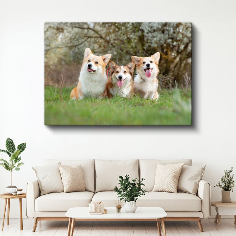 Corgi Üçlüsü - Çimenlerde Neşeli Dostlar Kanvas Tablo