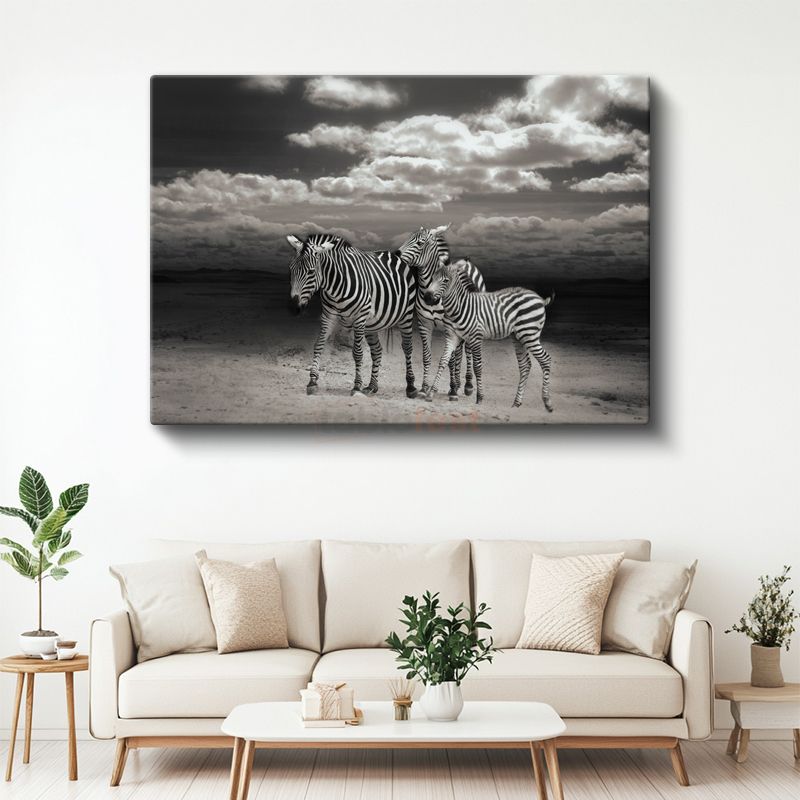 Zebra Ailesi - Siyah Beyaz Çizgili Savana Sakinleri Kanvas Tablo