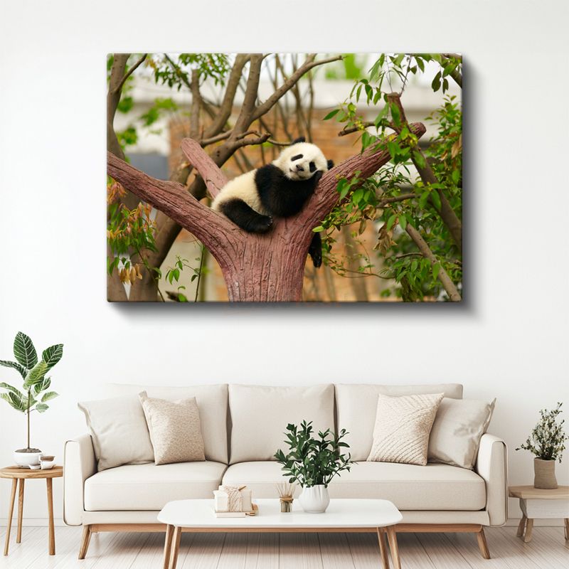 Uyuyan Panda - Ağaç Dalında Tatlı Mola Kanvas Tablo
