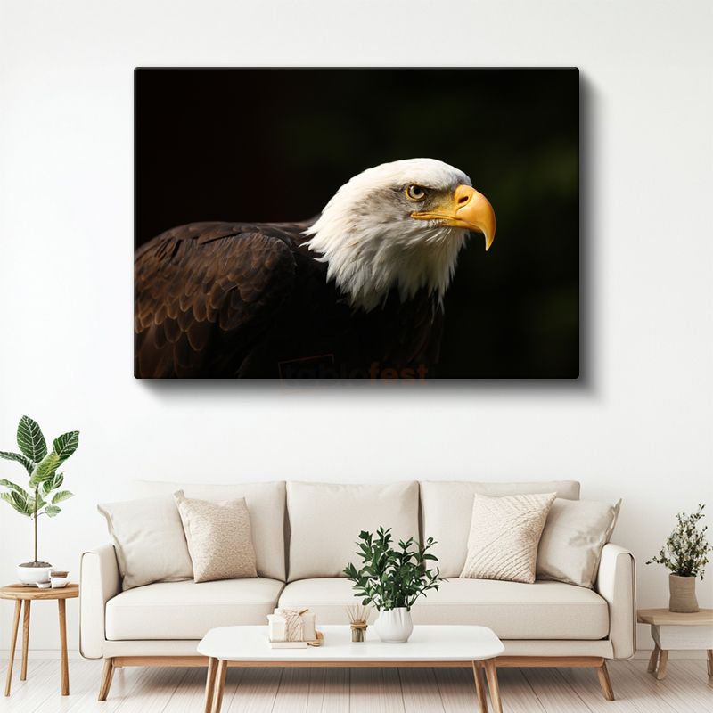 Amerikan Kartalı - Keskin Bakışlı Yırtıcı Kuş Kanvas Tablo