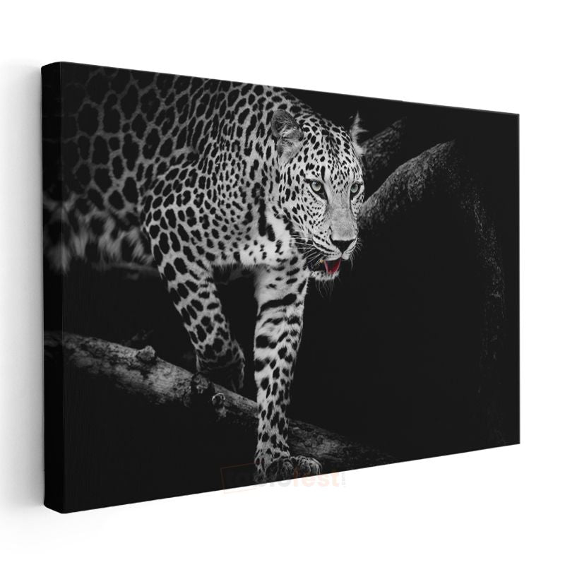Karanlıktaki Leopar - Gece Avcısı Yırtıcı Kedi Kanvas Tablo