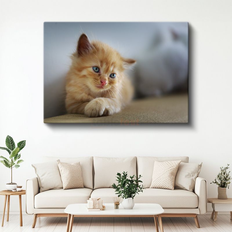 Kedi Yavrusu - Mavi Gözlü Minik Dostumuz Kanvas Tablo