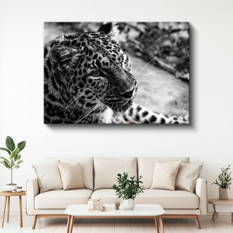 Leopar Portresi - Siyah Beyaz Vahşi Kedi Kanvas Tablo