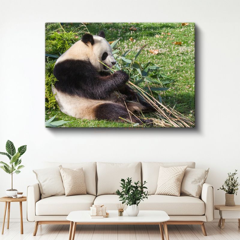 Bambu Keyfi - Dinlenen Panda Kanvas Tablo