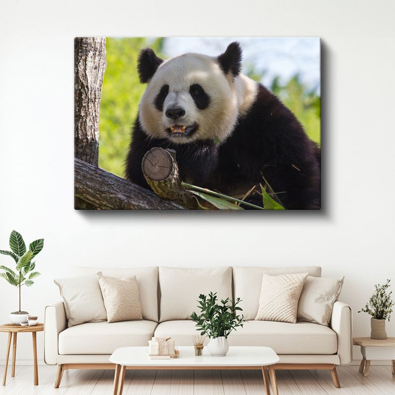 Meraklı Panda - Ağaç Dalında Sevimli Dostumuz Kanvas Tablo
