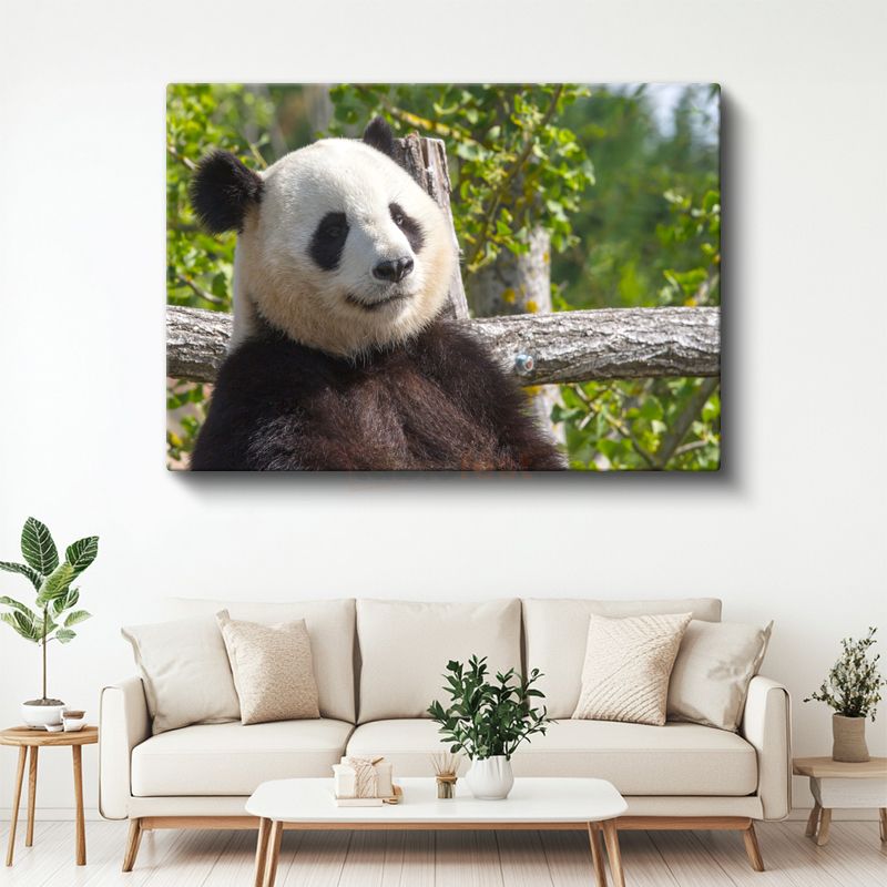 Düşünceli Panda - Ağaç Dalında Huzurlu Anlar Kanvas Tablo
