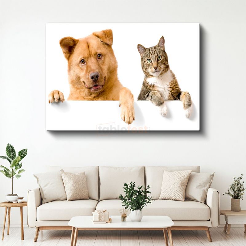 Dostluk Köprüsü - Kedi ve Köpek İkilisi Kanvas Tablo