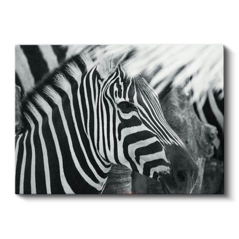 Zebra Deseni - Çizgilerin Mükemmel Uyumu Kanvas Tablo