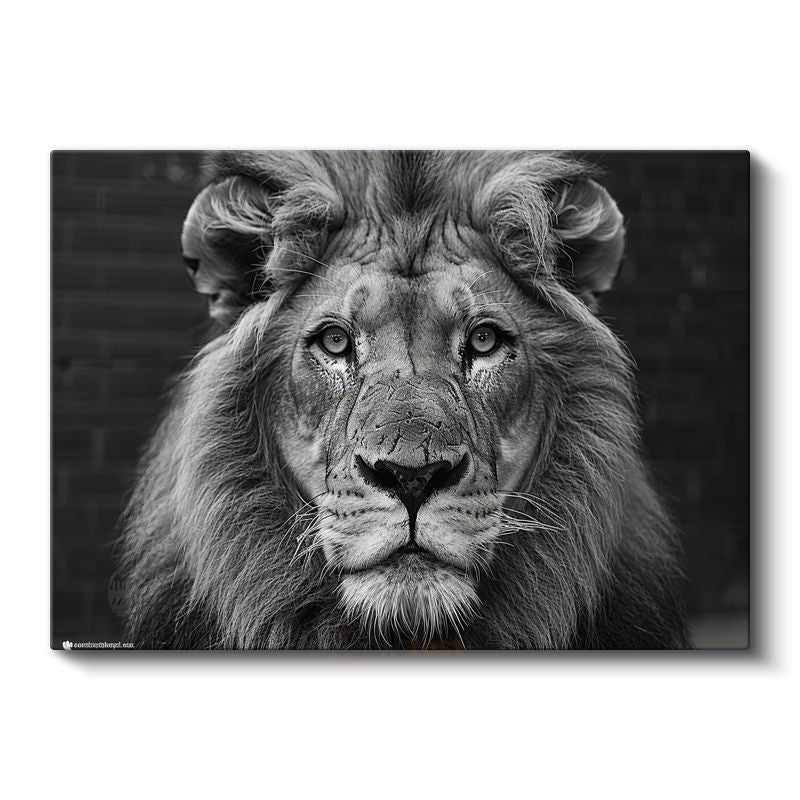 Aslan Portresi - Siyah Beyaz Asaletin Yüzü Kanvas Tablo