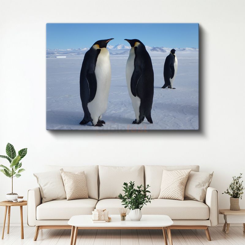 İmparator Penguenler - Kutup Buluşması Kanvas Tablo