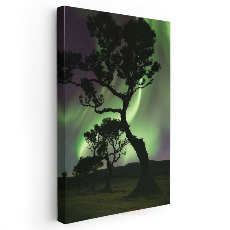 Kuzey Işıkları - Ağaç Silüetleriyle Dans Eden Aurora Kanvas Tablo