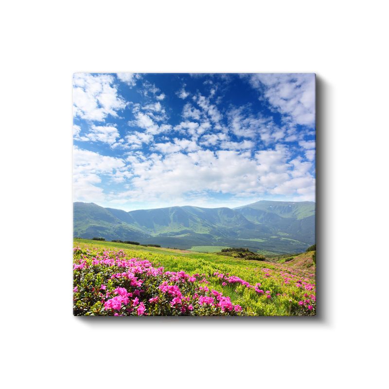 Dağ Çiçekleri - Pembe Çiçekli Yamaç Manzarası Kanvas Tablo