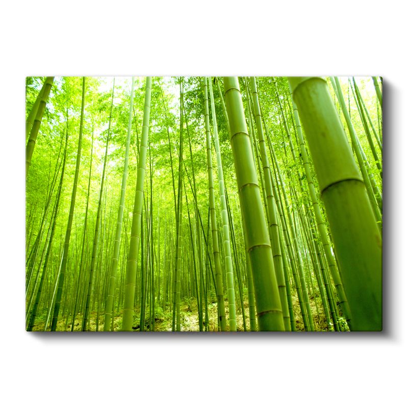 Bambu Ormanı - Canlı Yeşil Tonlarıyla Doğanın Huzuru Kanvas Tablo
