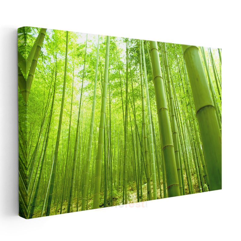 Bambu Ormanı - Canlı Yeşil Tonlarıyla Doğanın Huzuru Kanvas Tablo