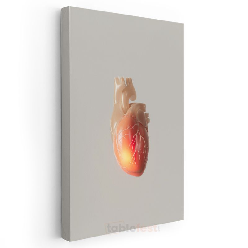 Kardiyolog - Kalp Anatomisi Kanvas Tablo