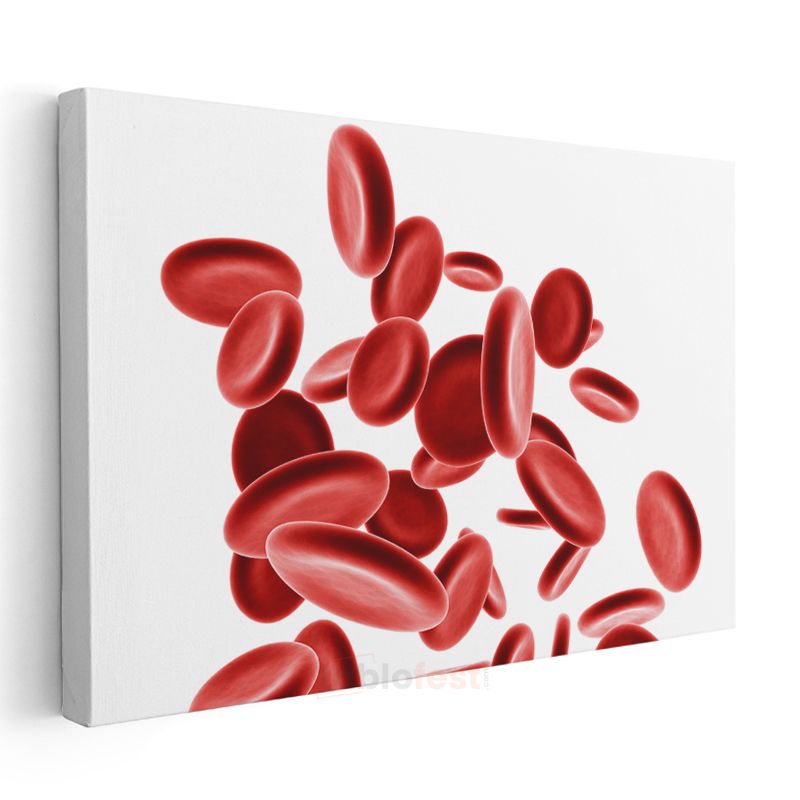 Hematoloji Uzmanı - Kan Hücreleri Kanvas Tablo