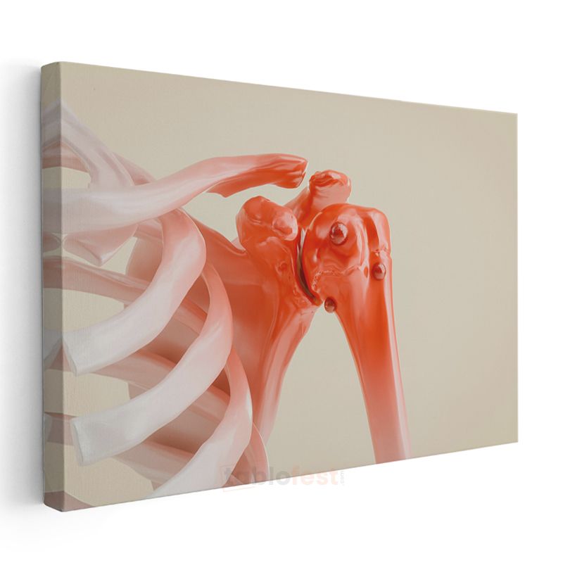 Ortopedi Uzmanı - Omuz Anatomisi ve Tedavi Kanvas Tablo