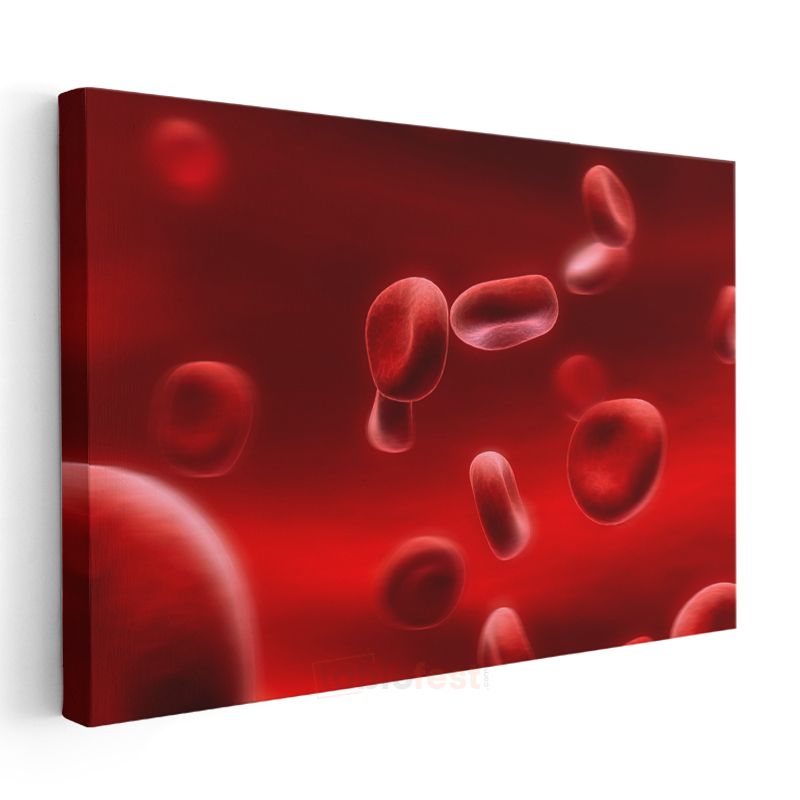Hematoloji Uzmanı - Kan Hücreleri Analizi ve İncelemesi Kanvas Tablo
