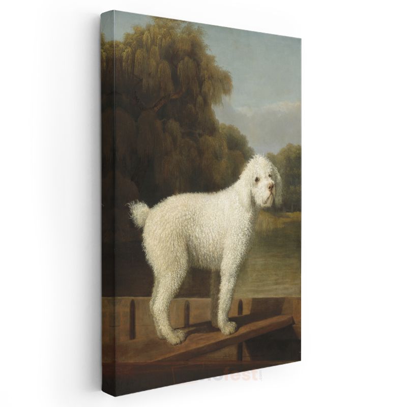 George Stubbs - Beyaz Köpek Portresi Kanvas Tablo