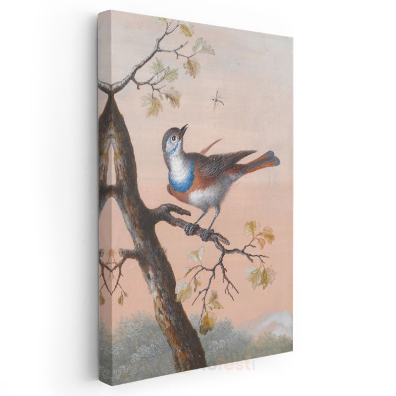 John James Audubon - Mavi Göğüslü Kuş Kanvas Tablo