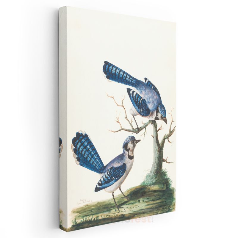 John James Audubon - Mavi Alakargalar Kanvas Tablo