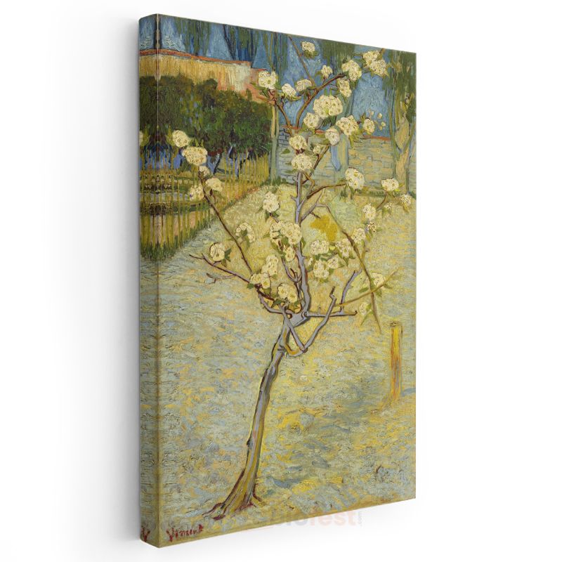 Vincent van Gogh - Çiçek Açan Armut Ağacı Kanvas Tablo