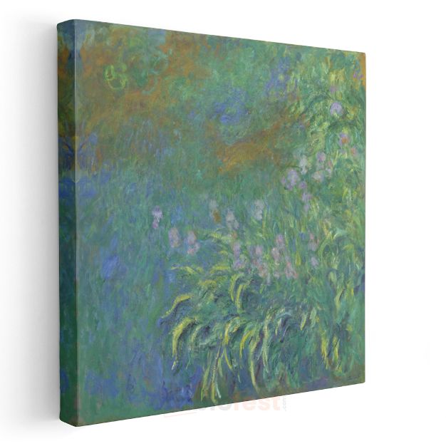 Claude Monet - Nilüferler ve İris Kanvas Tablo