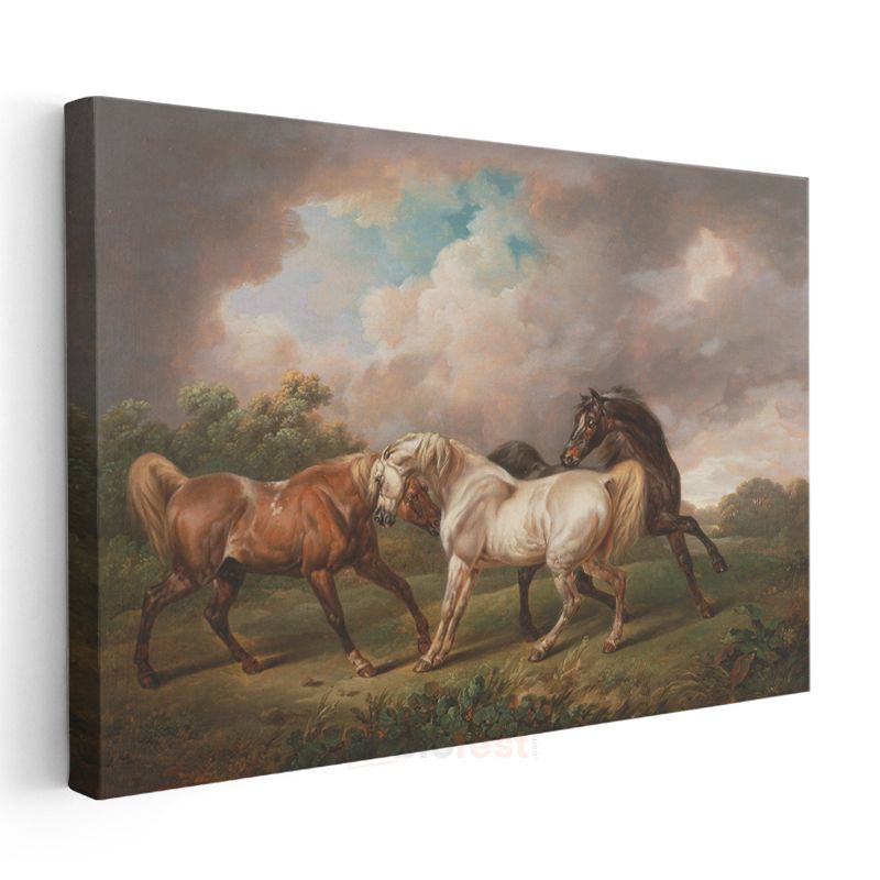 George Stubbs - Çayırda Atlar Kanvas Tablo