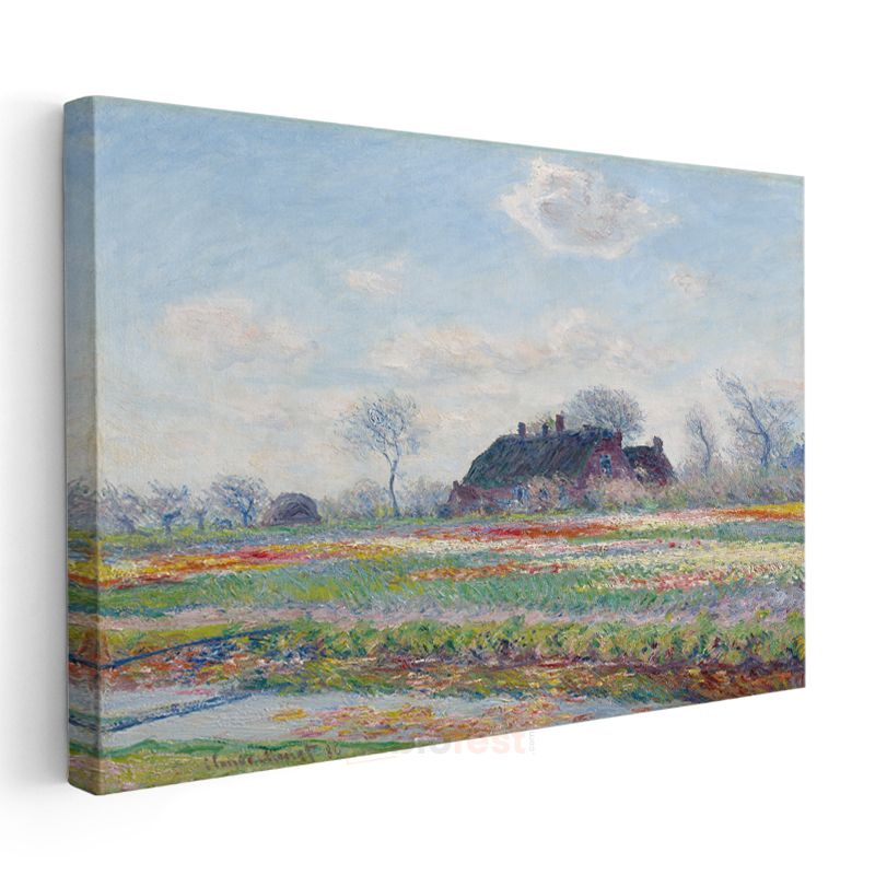 Claude Monet - Lale Tarlaları Kanvas Tablo