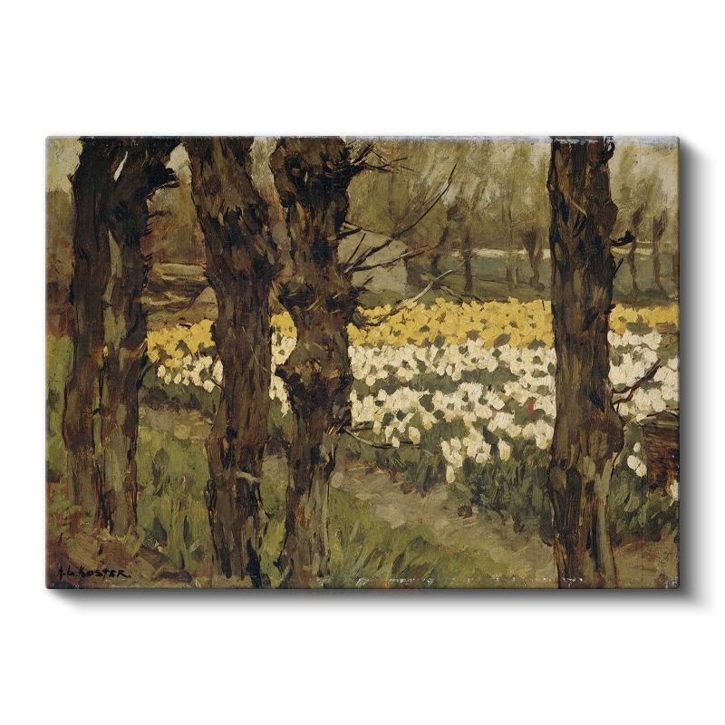 Vincent van Gogh - Nergis Bahçesi Kanvas Tablo