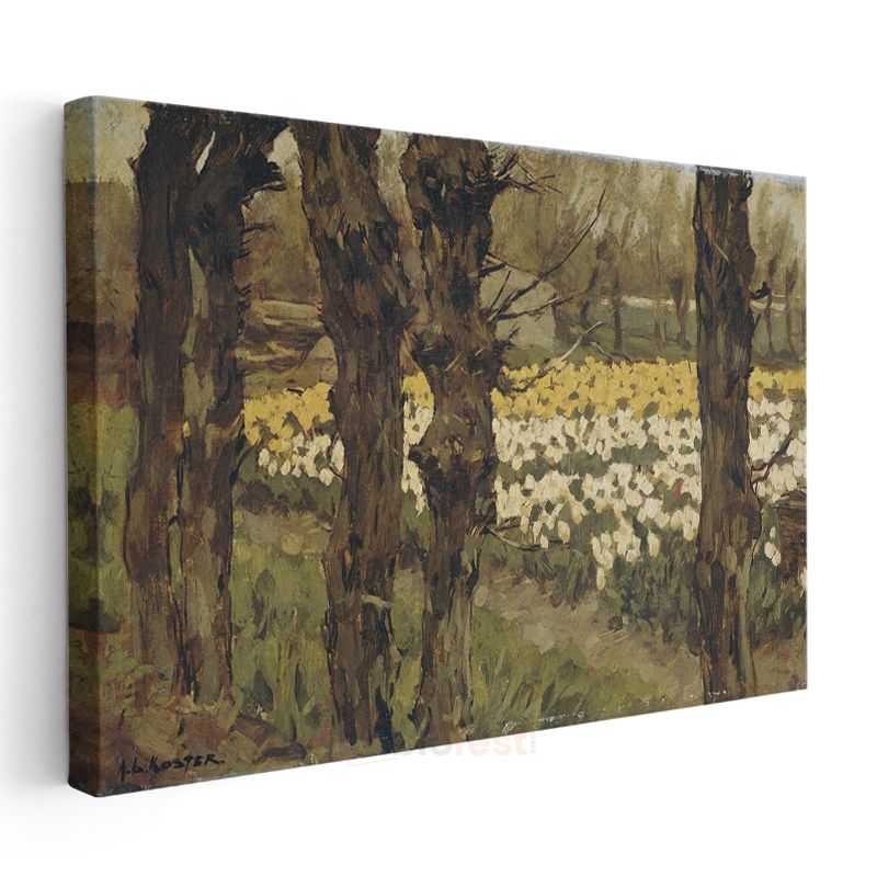Vincent van Gogh - Nergis Bahçesi Kanvas Tablo