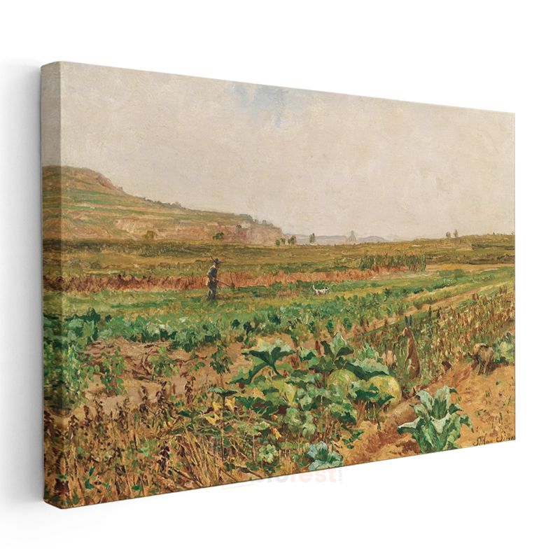 Claude Monet - Lahana Tarlası Kanvas Tablo