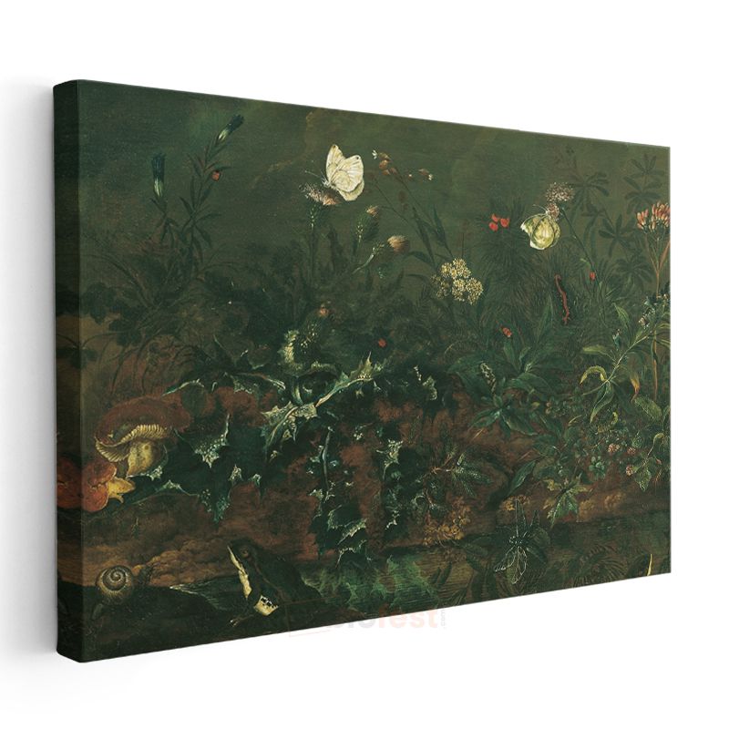 Otto Marseus van Schrieck - Orman Tabanı Kanvas Tablo