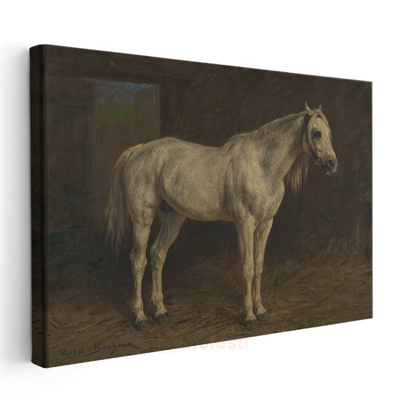 Rosa Bonheur - Beyaz At Kanvas Tablo