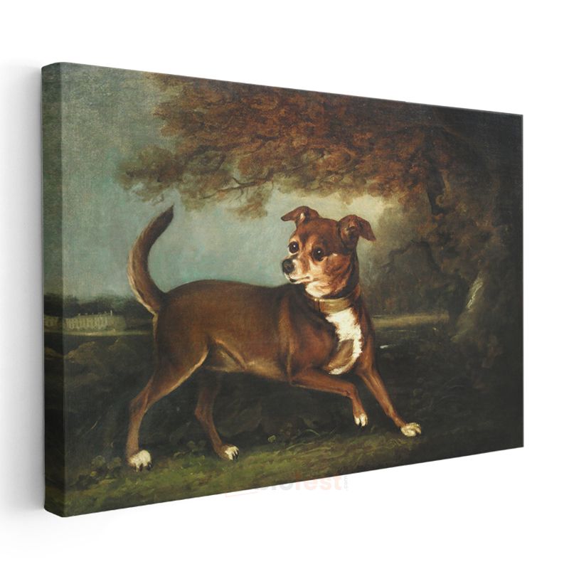 George Stubbs - Manzarada Köpek Portresi Kanvas Tablo