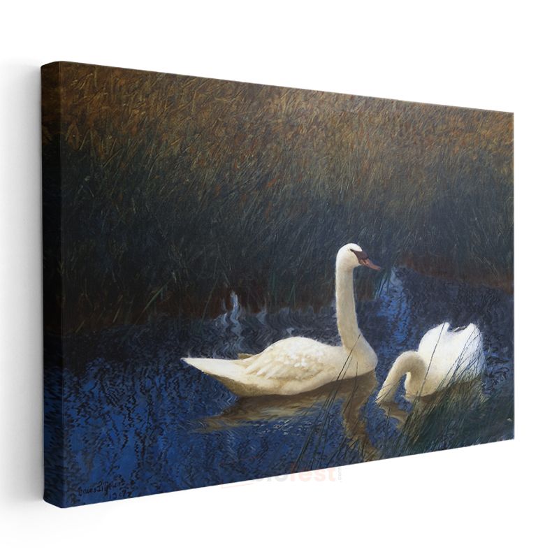 Bruno Liljefors - Swans Kanvas Tablo
