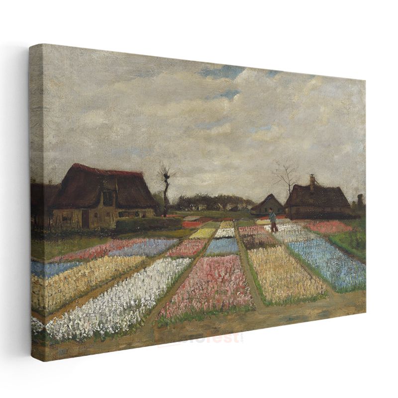 Vincent van Gogh - Lale Tarlaları Kanvas Tablo