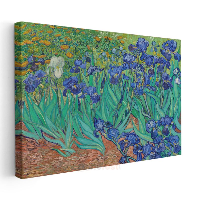 Vincent van Gogh - Süsenler Kanvas Tablo