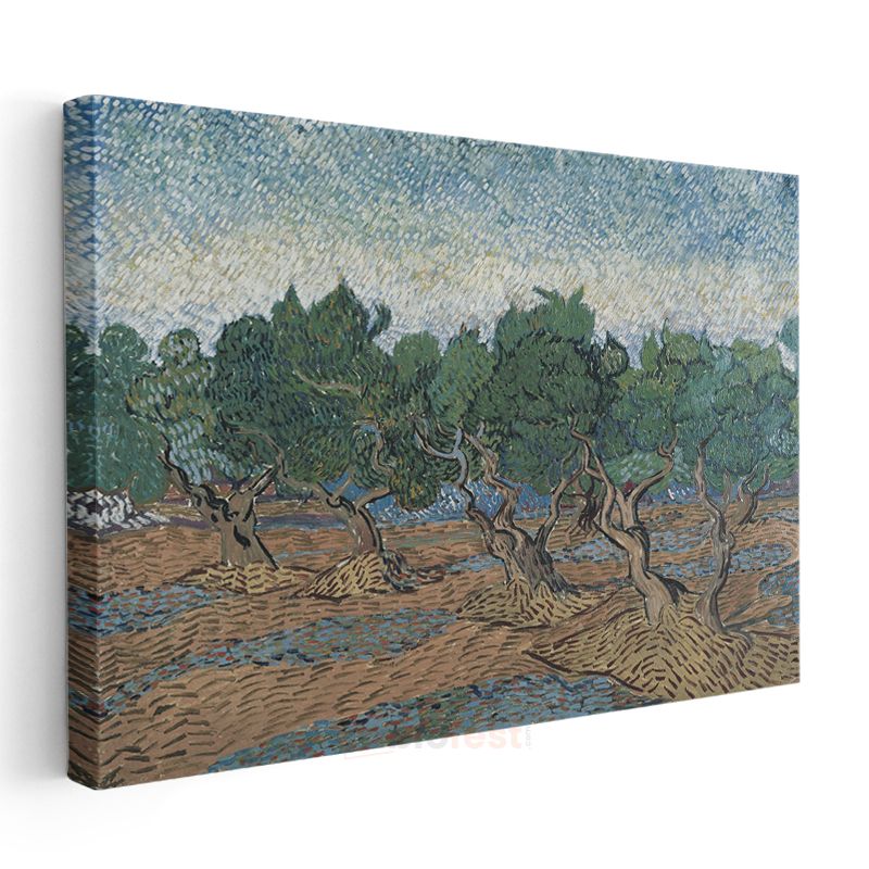 Vincent van Gogh - Zeytin Ağaçları Kanvas Tablo