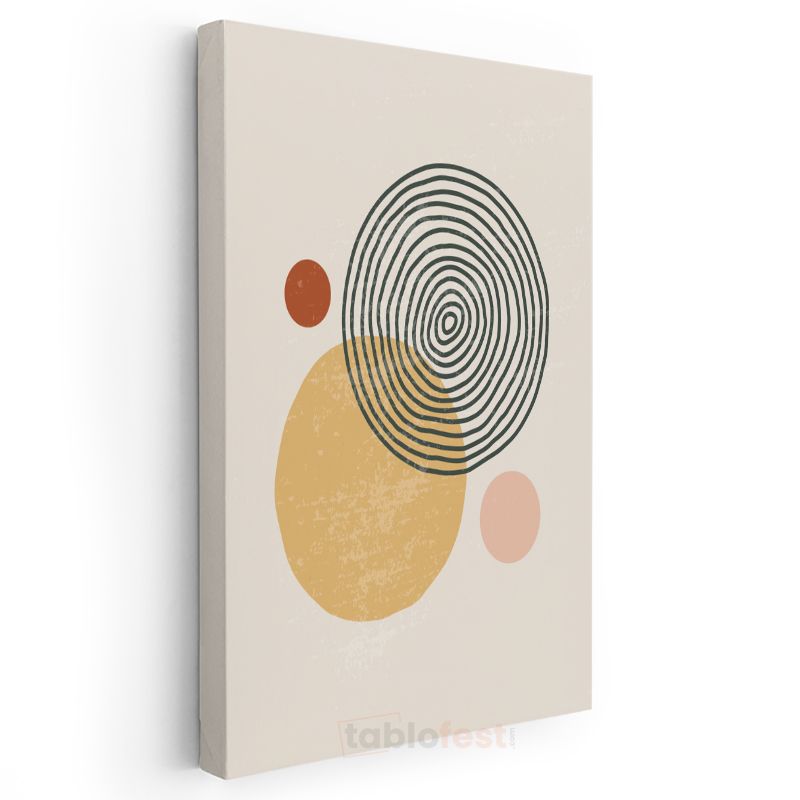 Spiral Desen - Geometrik Daireler Kompozisyonu Kanvas Tablo