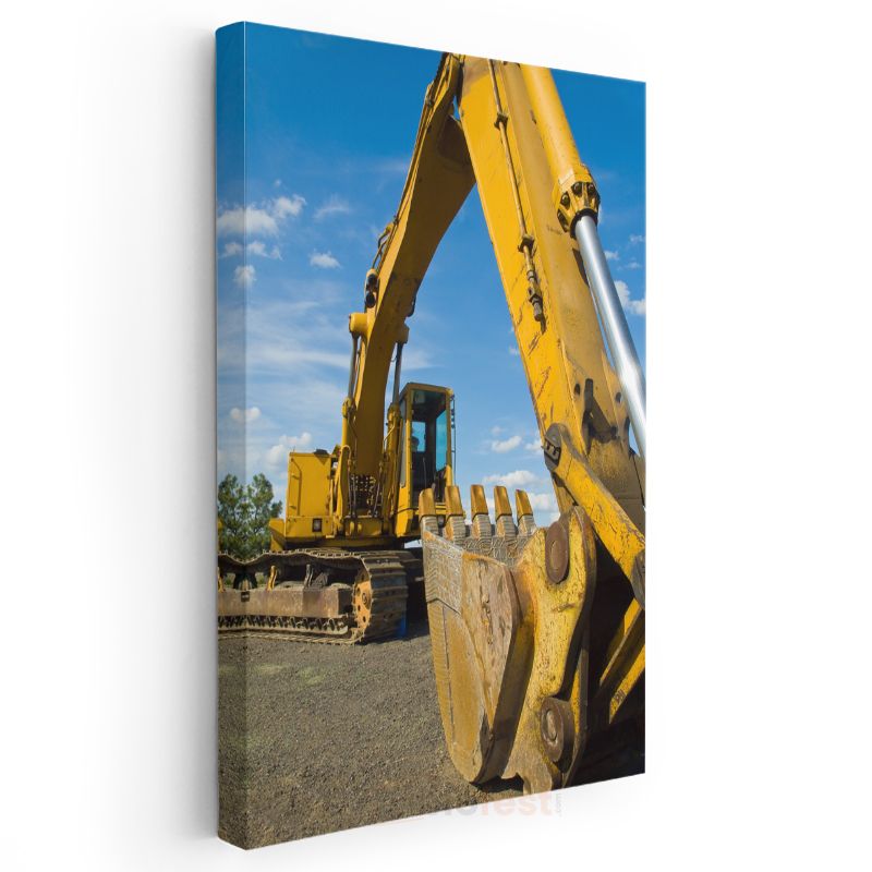 Caterpillar Ekskavatör - İş Makinesi Güç Gösterisi Kanvas Tablo