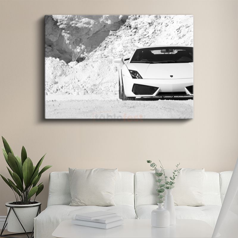 Lamborghini Gallardo - Beyaz Spor Otomobil Profil Kanvas Tablo