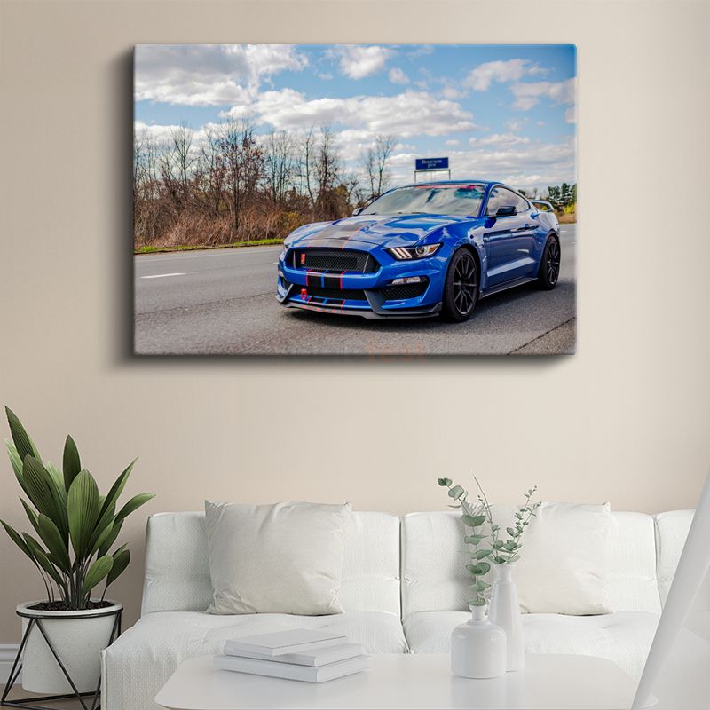 Ford Mustang Shelby GT350 - Mavi Yarış Şeritleri Spor Otomobil Kanvas Tablo